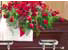 photo of casket and flowers