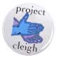 photo of black button with hands signing'stop' in A. S. L. and the printed words, 'Project Cleigh.'